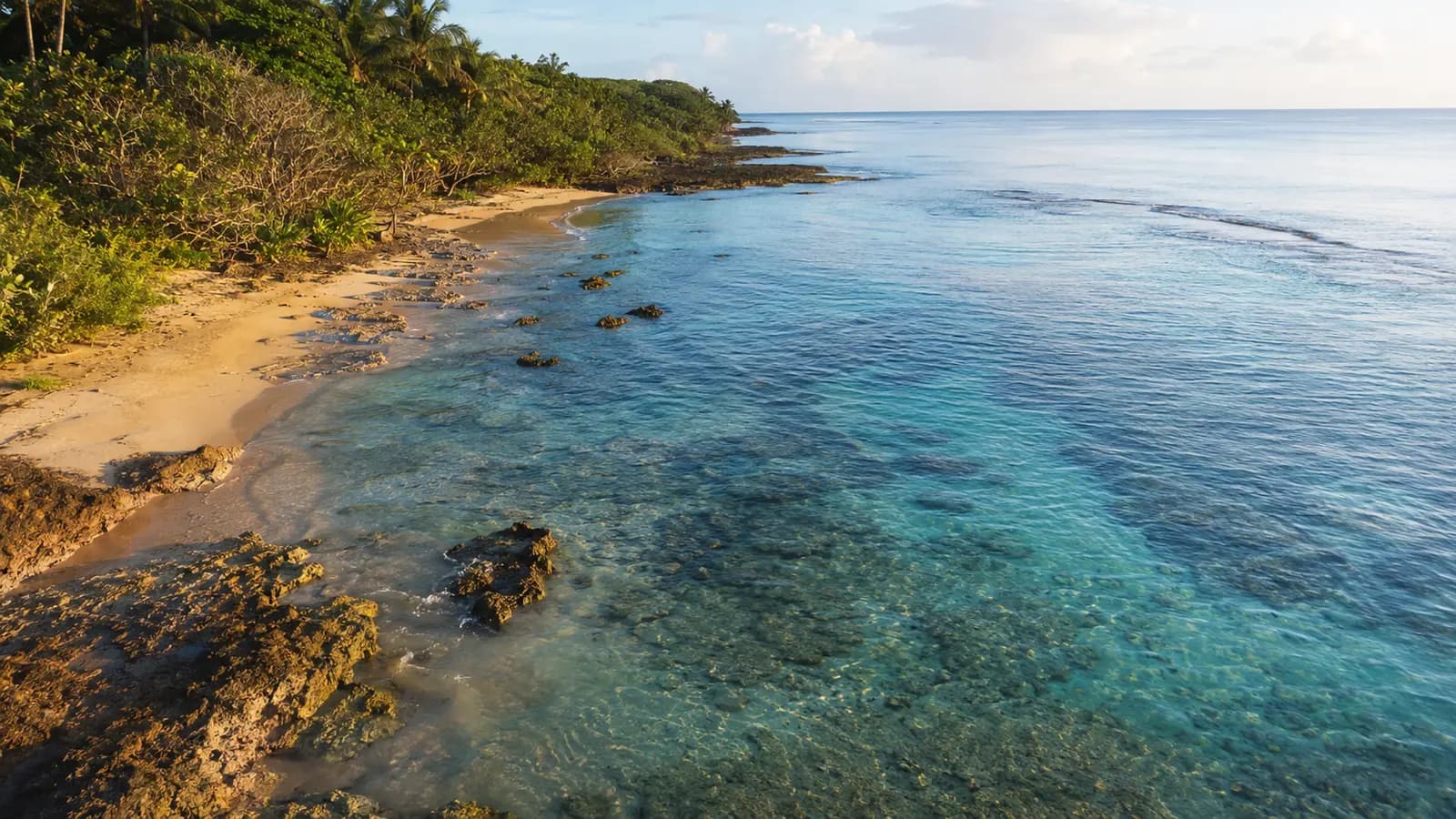 Costa de Rincón con agua azul y vegetación tropical
