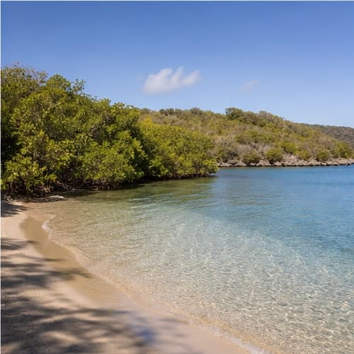 Playa La Jungla