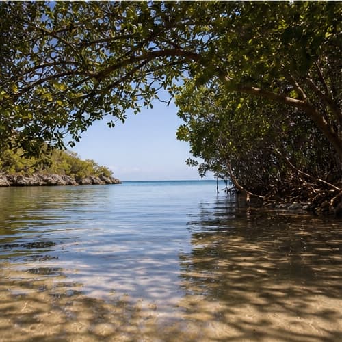 Playa La Jungla