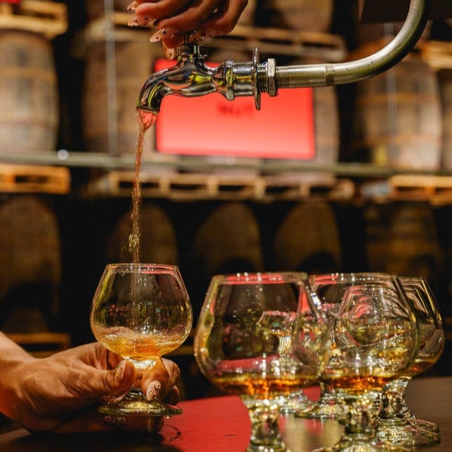 Vasos de degustación preparados para una experiencia de ron