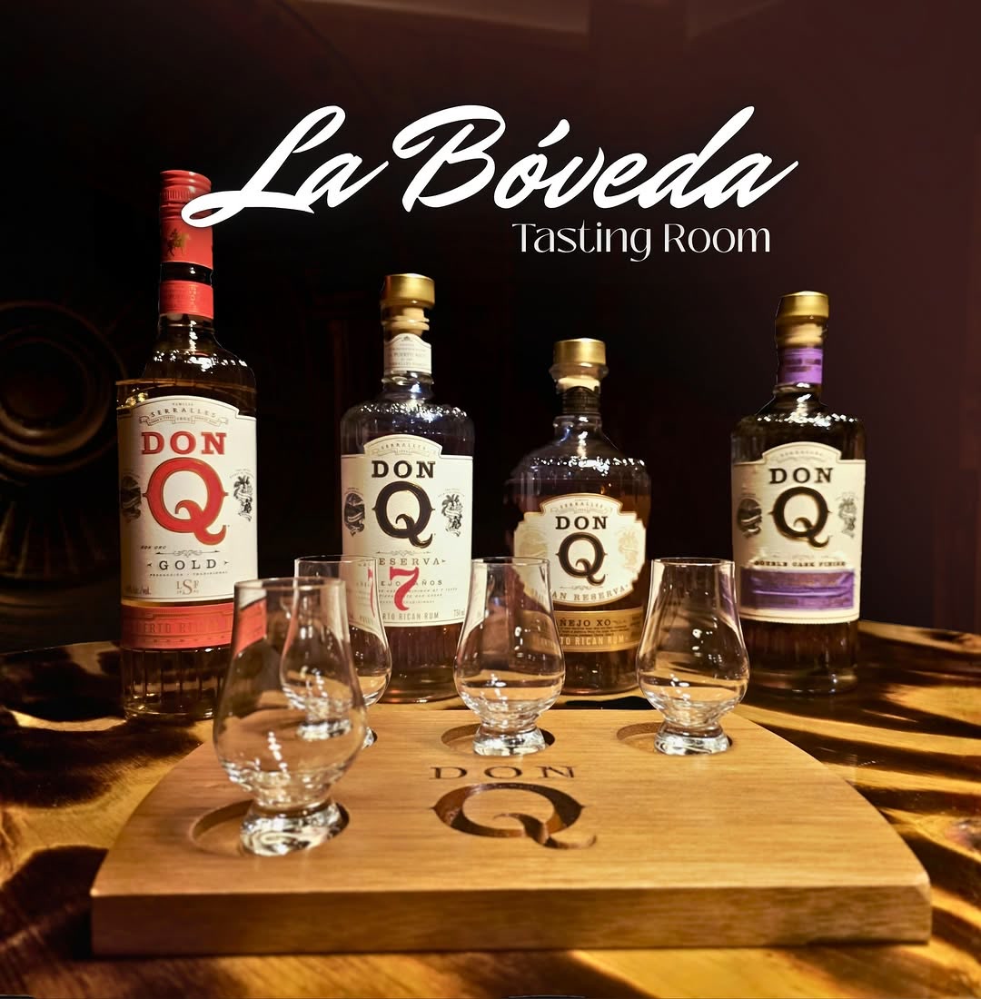Una degustación guiada dentro de La Bóveda