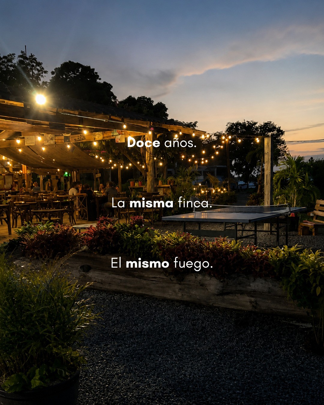 Doce años de fuego de leña en una finca familiar