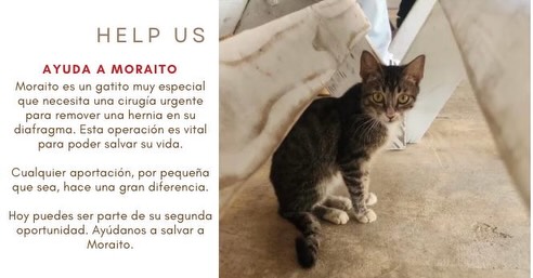 Moraito también es parte de La Cambija