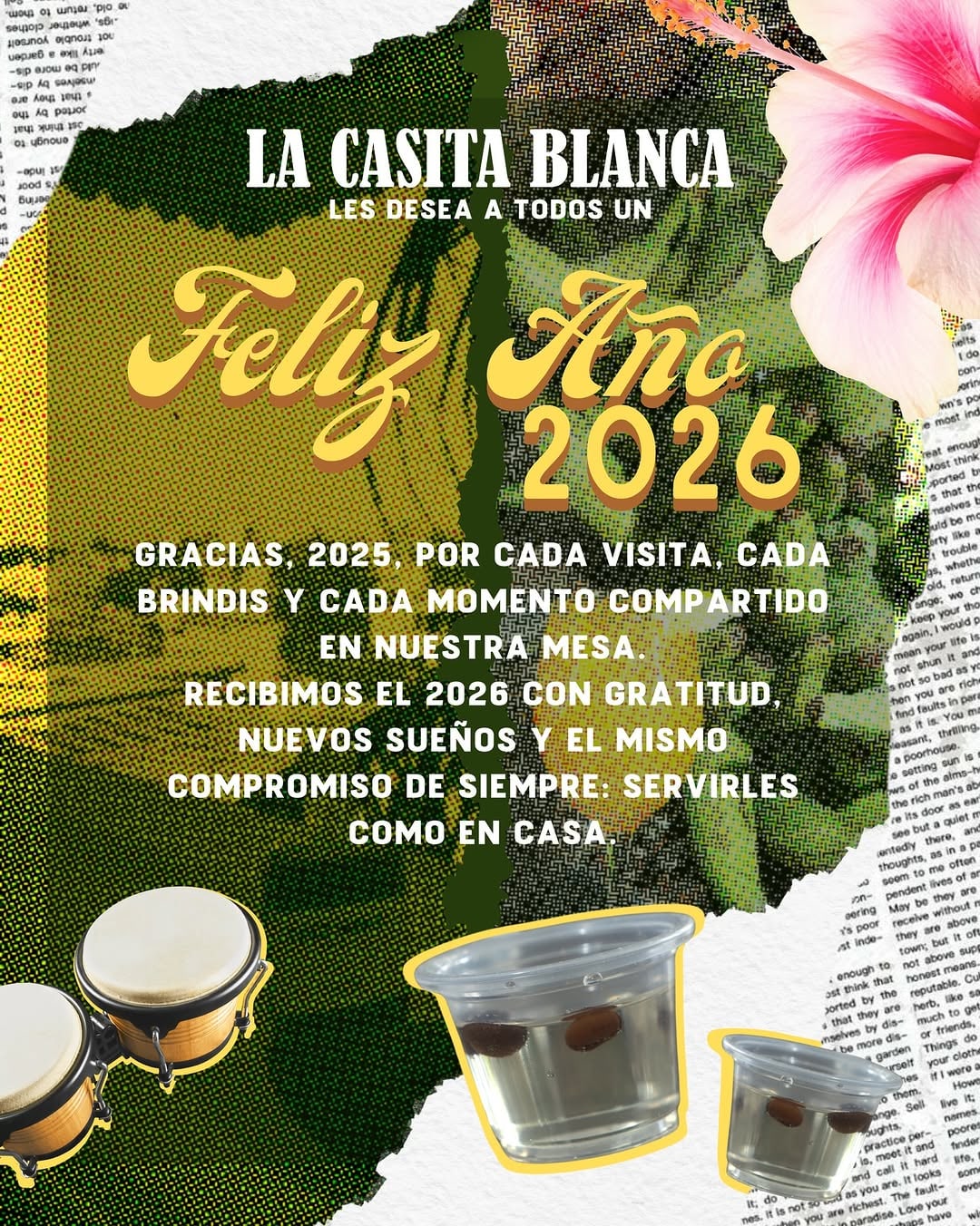 Un nuevo año desde Villa Palmeras