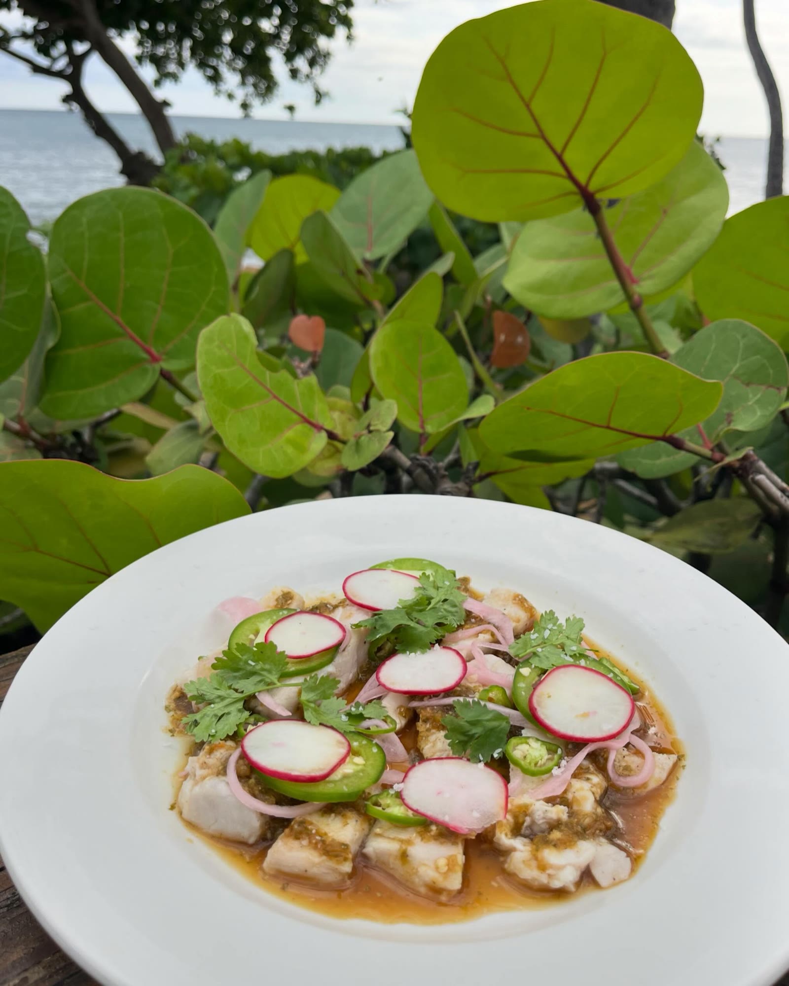 Aguachile de mahi mahi con frescura costera