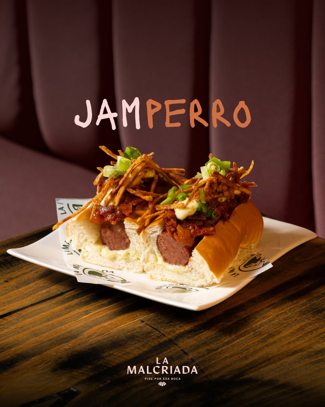 Jamperro: un perro que cambia la rutina
