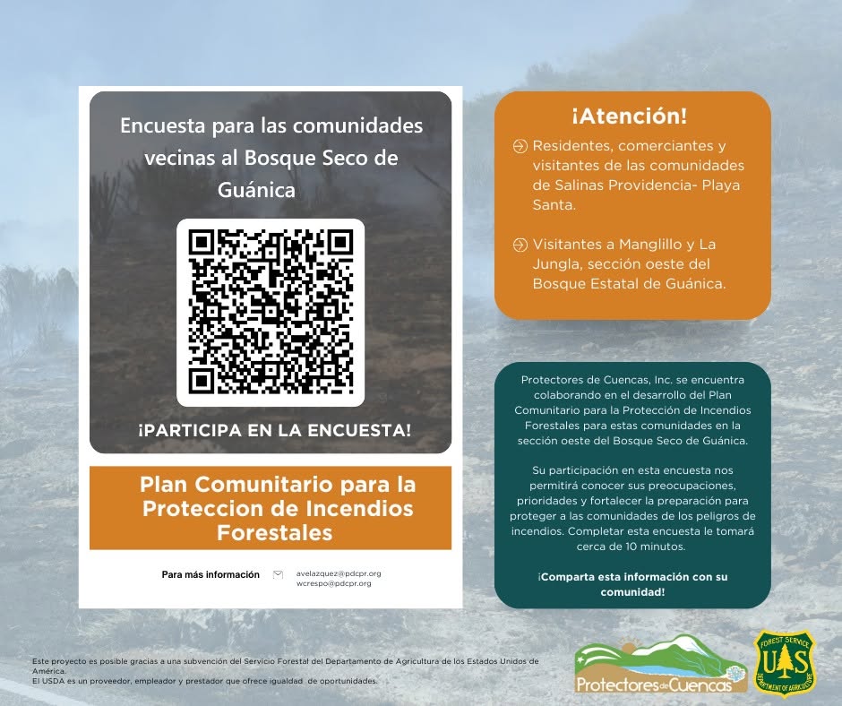 La comunidad de La Jungla participa en su futuro
