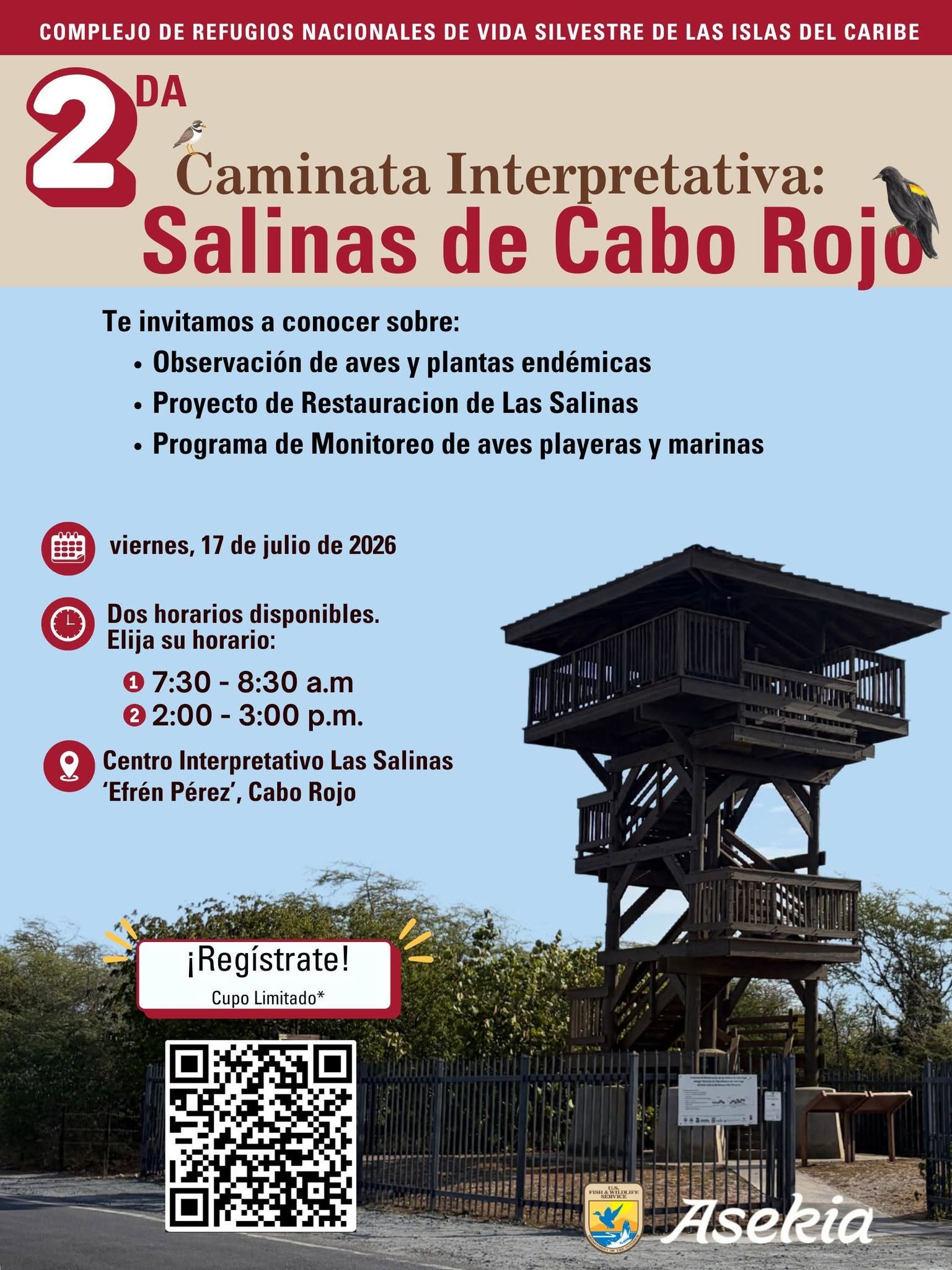 Educación ambiental entre aves, plantas y salinas