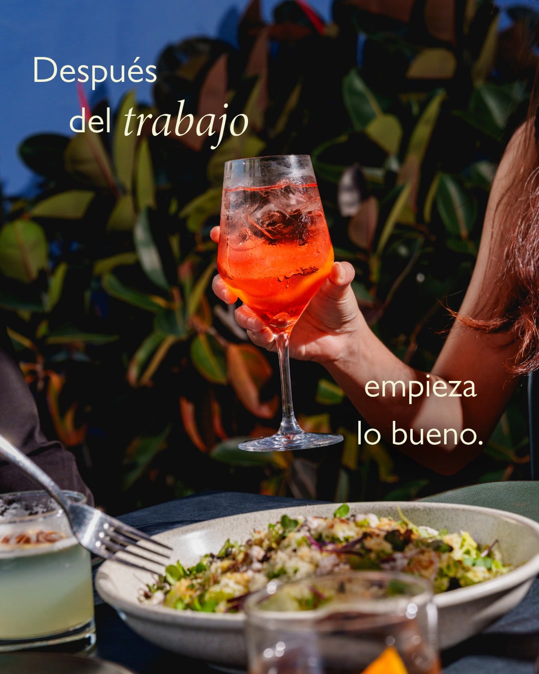 Coctelería, buena mesa y una pausa al final del día